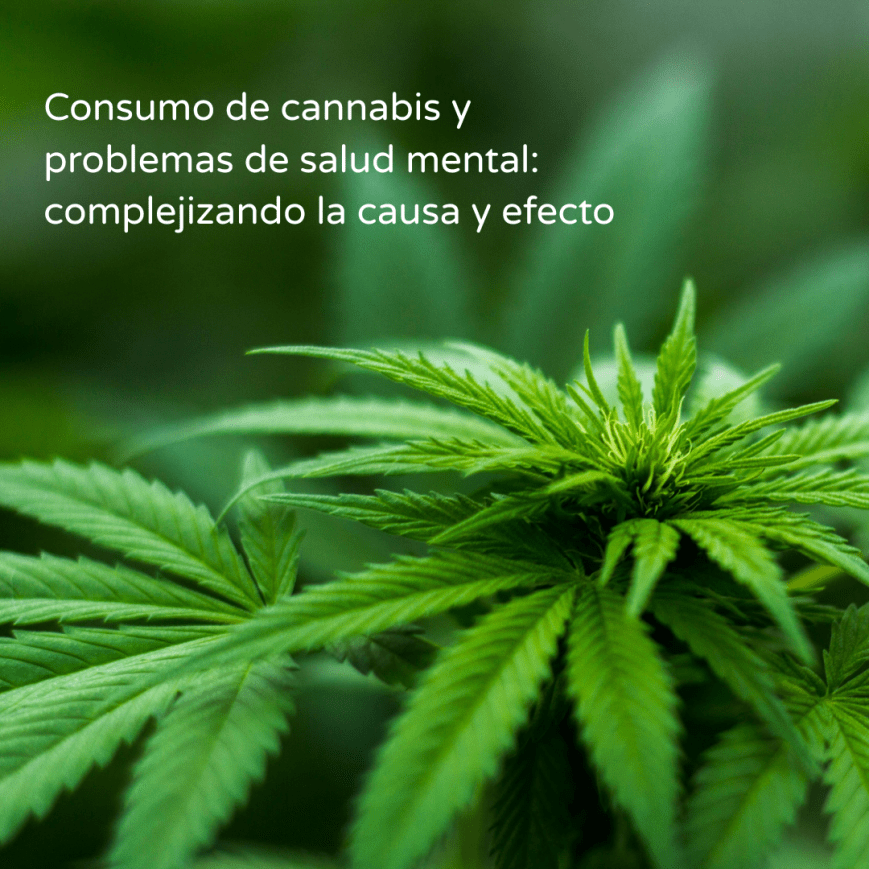 Consumo de cannabis y problemas de salud mental: complejizando la causa y efecto